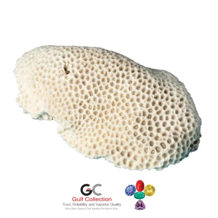 Gems Brain Coral