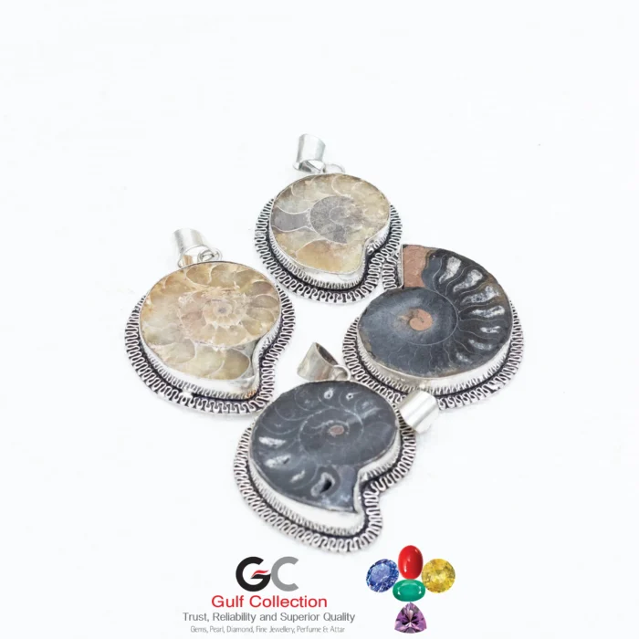 Natural Ammonite Gemstone - Image 1